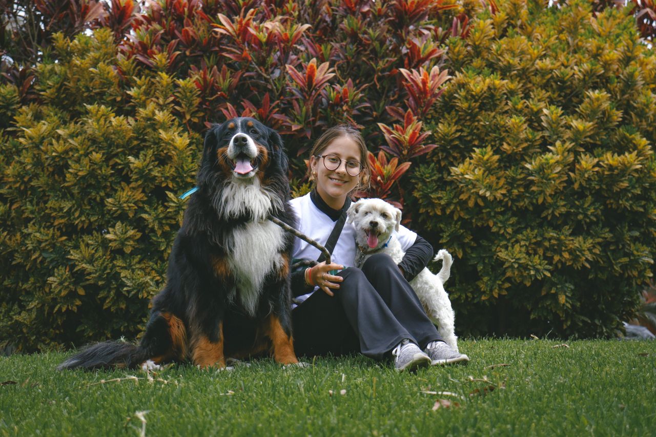 The Art of Drawing Readers In: Your attractive post title goes here A smiling woman sits with two happy dogs in a lush garden, surrounded by colorful foliage.