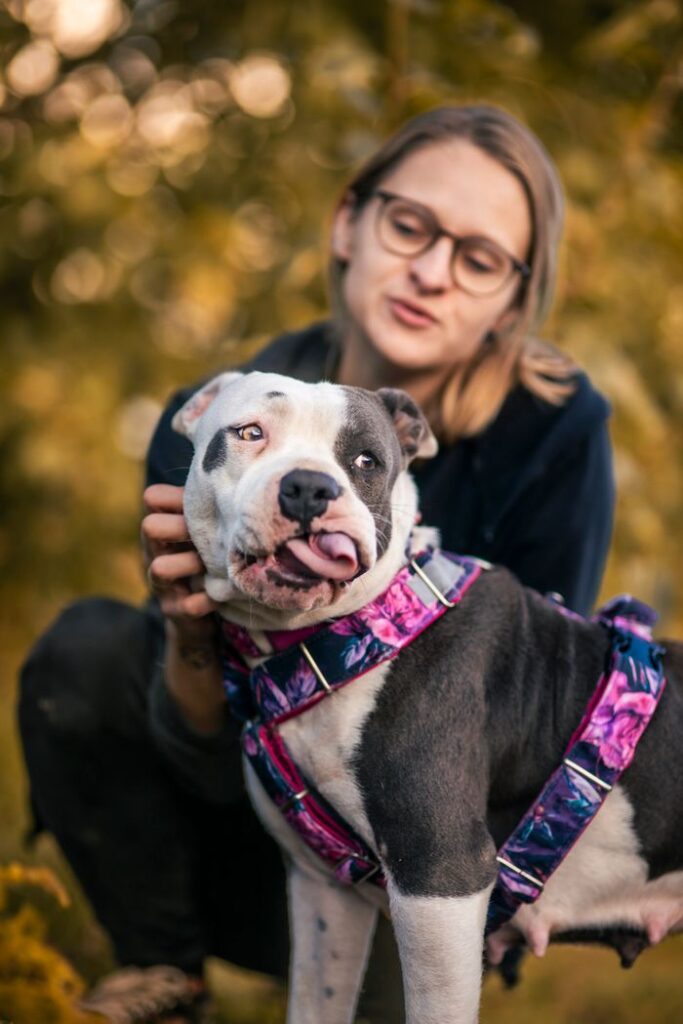 Young woman with an American Bully dog in an autumn park setting.