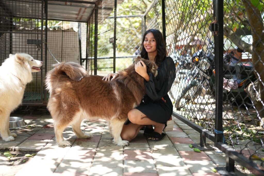 A woman interacts with two fluffy dogs in an outdoor kennel on a sunny day.