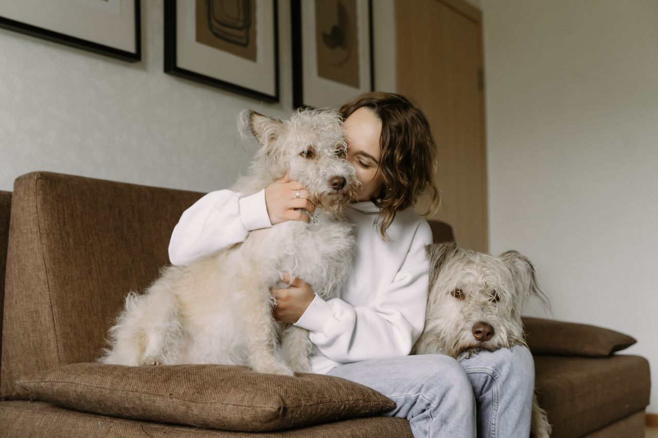 Mastering the First Impression: Your intriguing post title goes here A woman sits on a couch embracing her two fluffy dogs, creating a warm and cozy indoor scene.